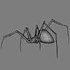low poly Spider 3D model