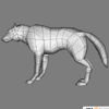 low poly wolf 3d model