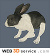 Low poly rabbit 3D model