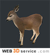 Low poly Deer Fawn 3D model