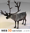 Low poly reindeer 3D model