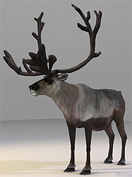 Santa Claus Deer 3d model